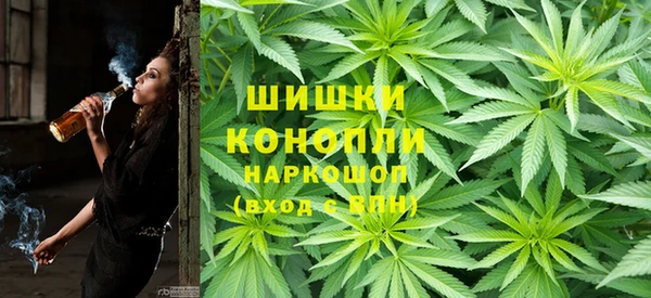 mdpv Богородск