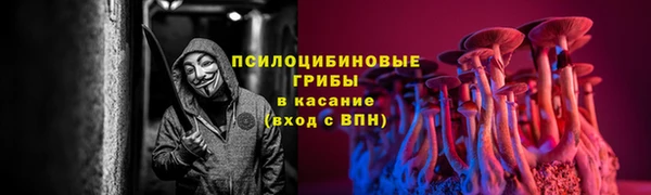 2c-b Верхнеуральск