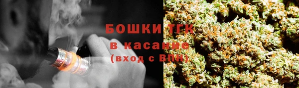 первитин Богородицк